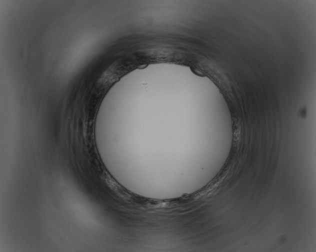 X0000091670430200708231018