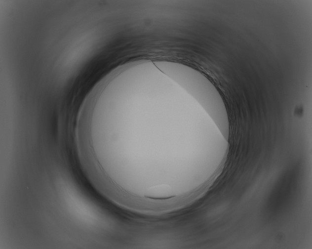 X0000091670431200708231018