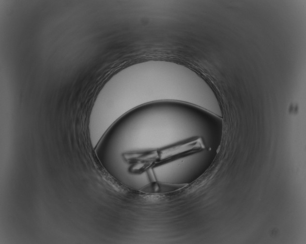 X0000091670432200708231018