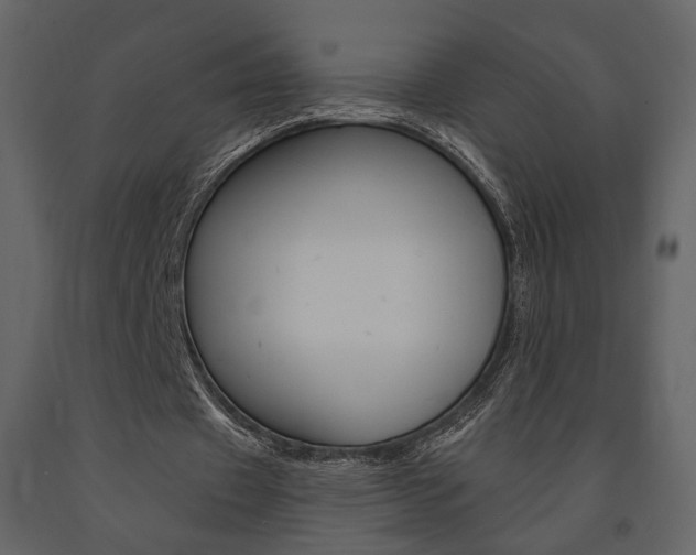 X0000091670433200708231017