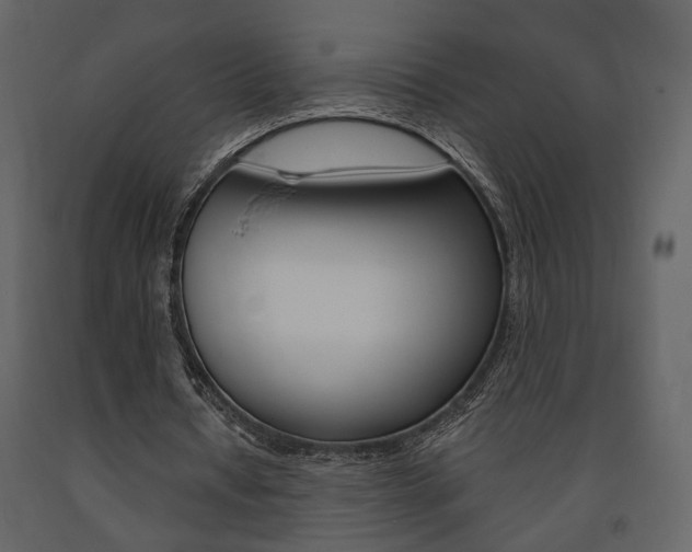 X0000091670434200708231017
