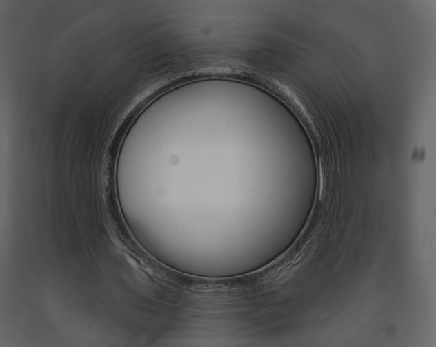 X0000091670435200708231017
