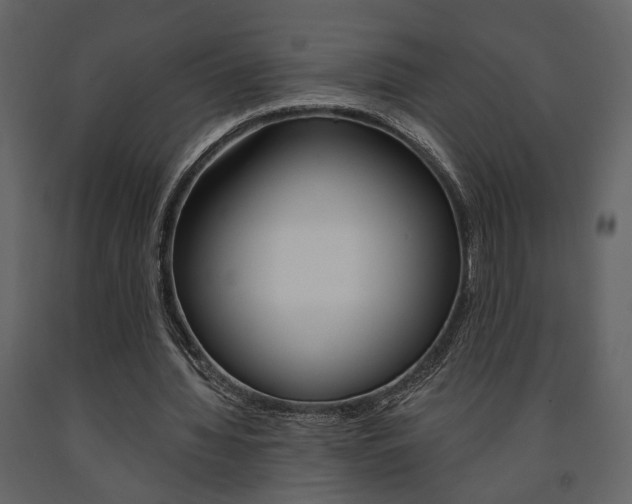 X0000091670436200708231017