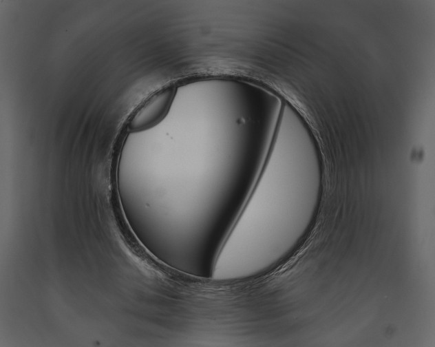 X0000091670438200708231017