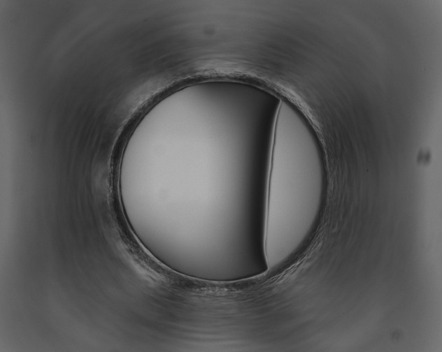 X0000091670439200708231017