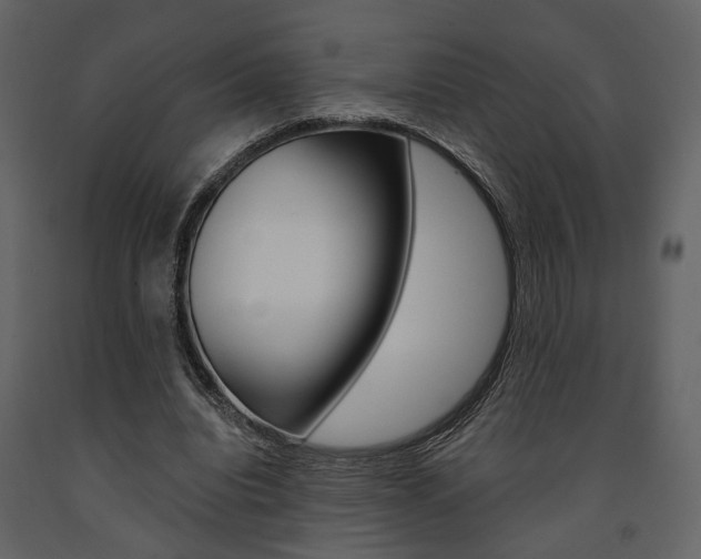 X0000091670440200708231017