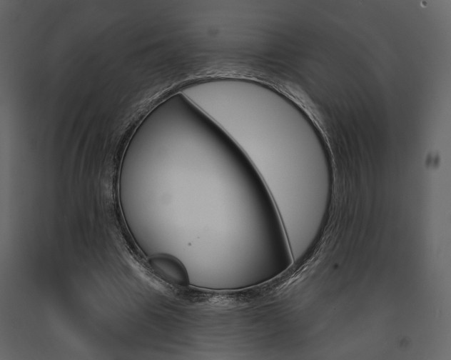 X0000091670441200708231017