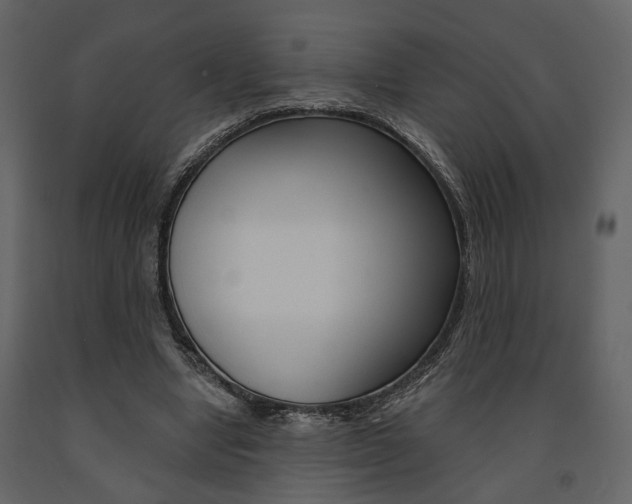 X0000091670442200708231017