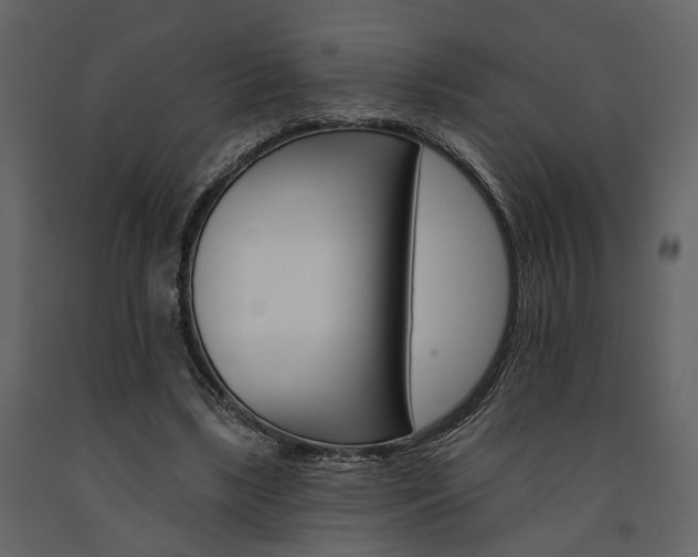 X0000091670443200708231017