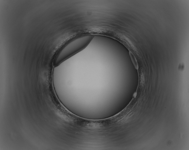 X0000091670444200708231017