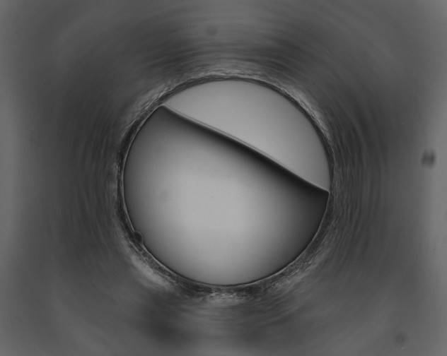 X0000091670445200708231017