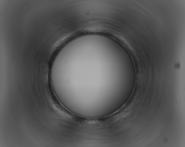 X0000091670446200708231017