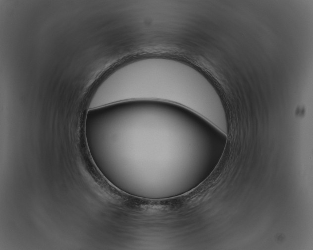 X0000091670448200708231017
