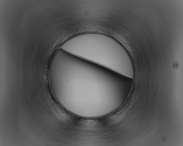 X0000091670449200708231017