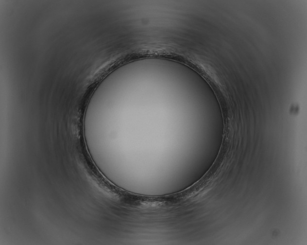 X0000091670450200708231017