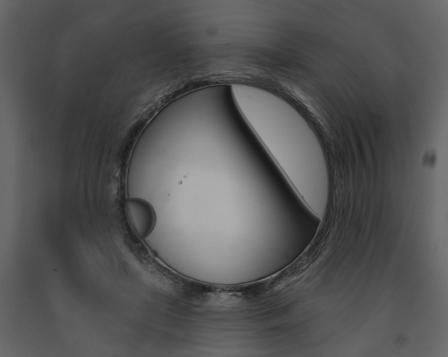 X0000091670451200708231017