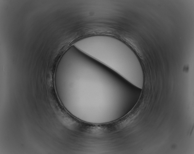 X0000091670453200708231017