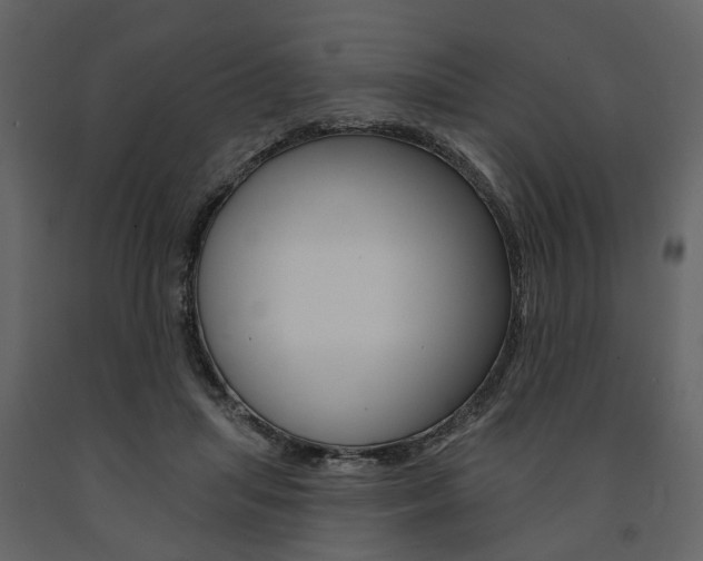 X0000091670455200708231017