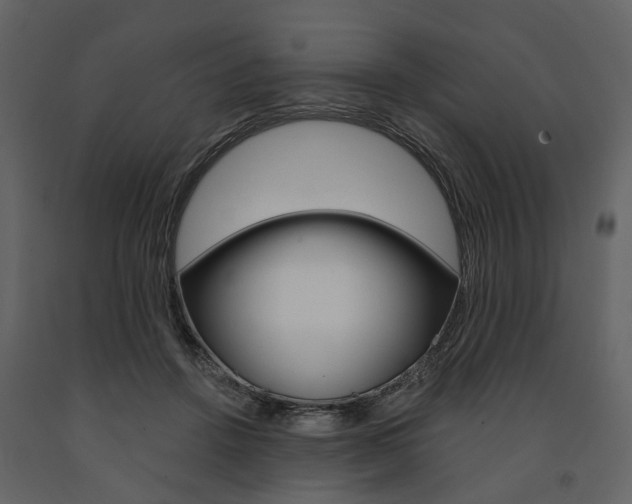 X0000091670456200708231017