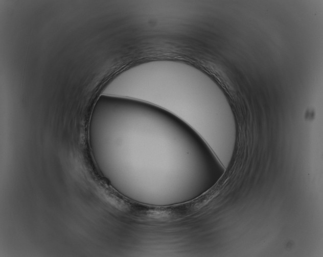 X0000091670457200708231017