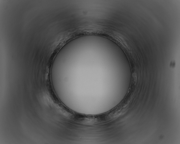 X0000091670458200708231017