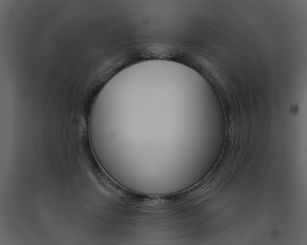 X0000091670459200708231017