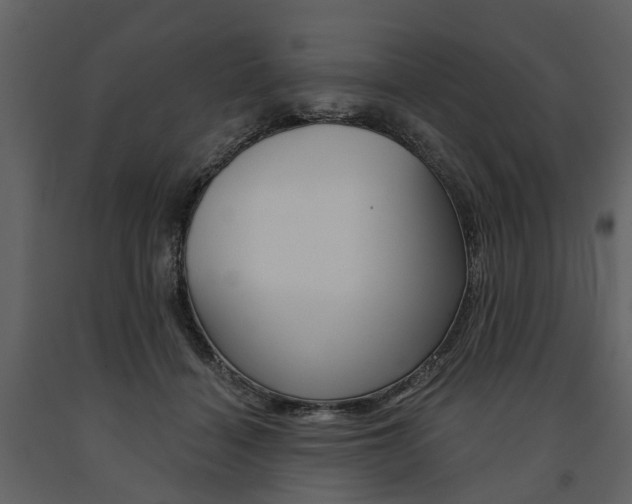 X0000091670460200708231017