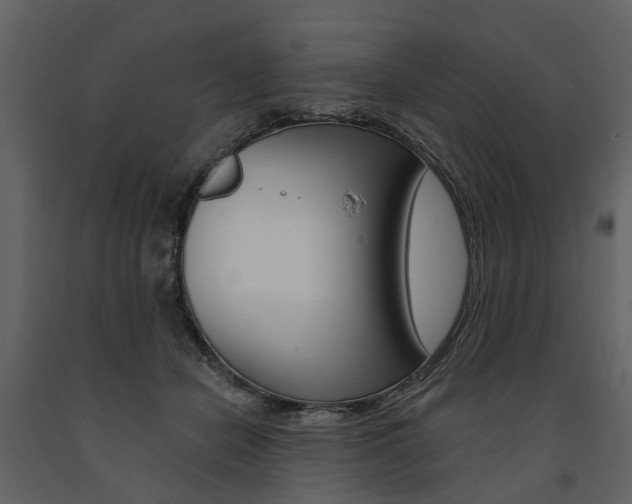 X0000091670462200708231017