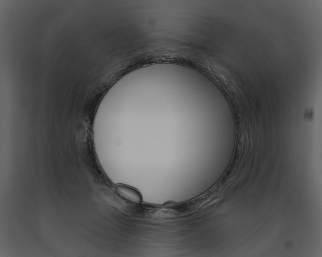 X0000091670463200708231017