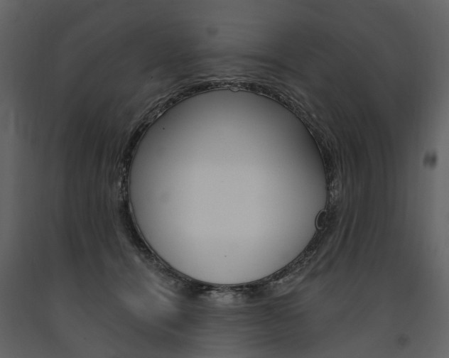 X0000091670464200708231017