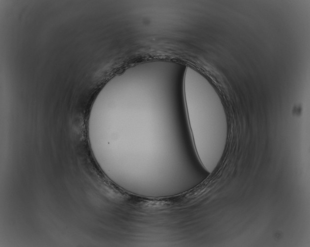 X0000091670465200708231017