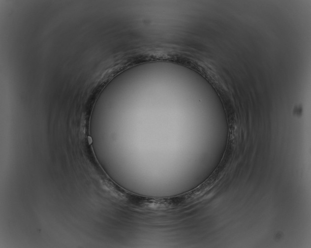 X0000091670466200708231017