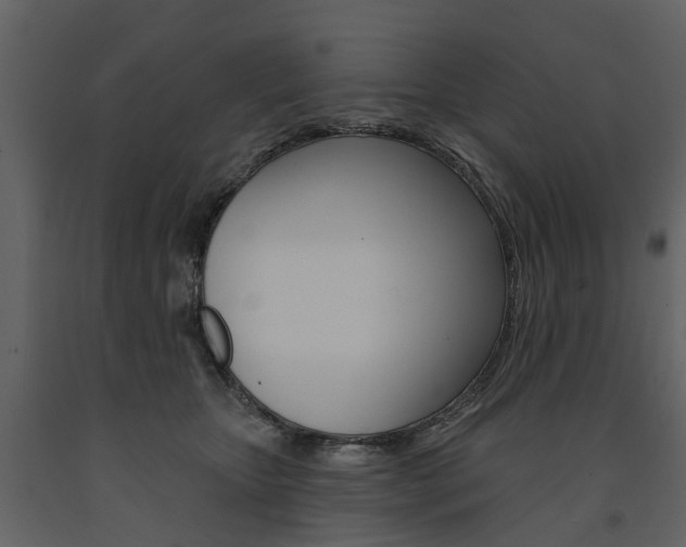X0000091670467200708231017