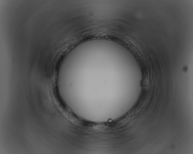 X0000091670468200708231017