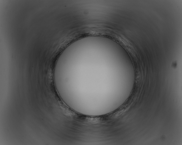 X0000091670469200708231017