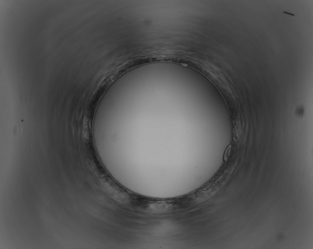X0000091670470200708231017