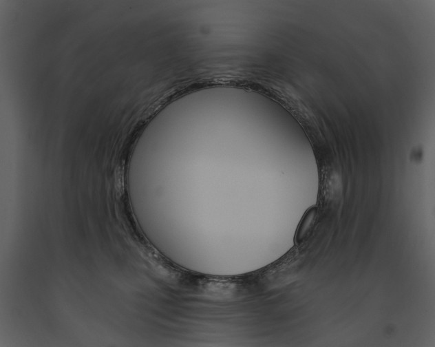 X0000091670471200708231017