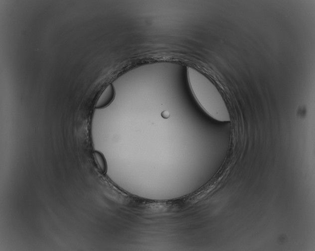 X0000091670473200708231017