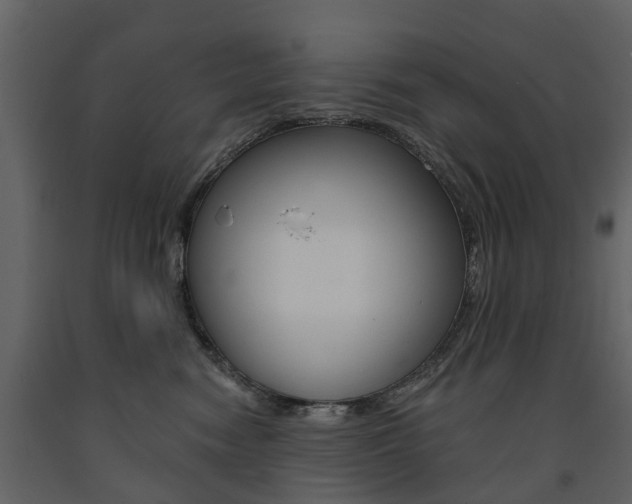 X0000091670474200708231017