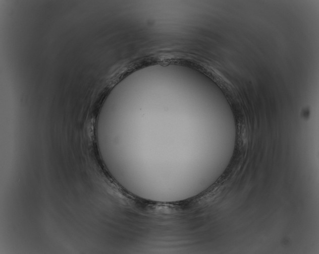 X0000091670475200708231017