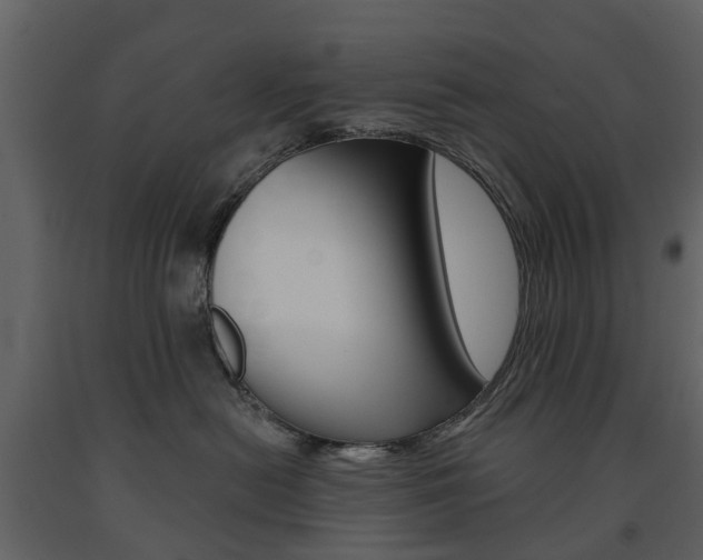 X0000091670478200708231018