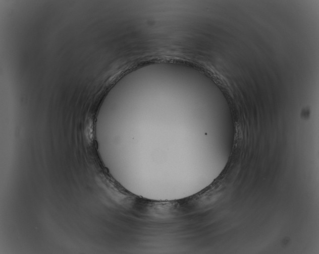 X0000091670479200708231018