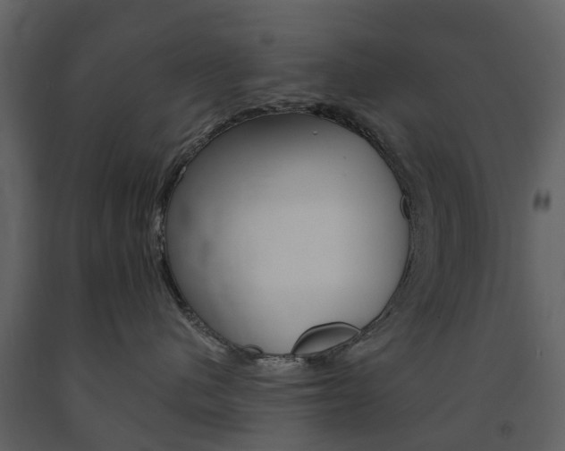 X0000091670480200708231018