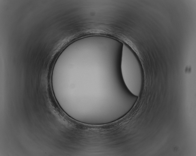 X0000091670482200708231017