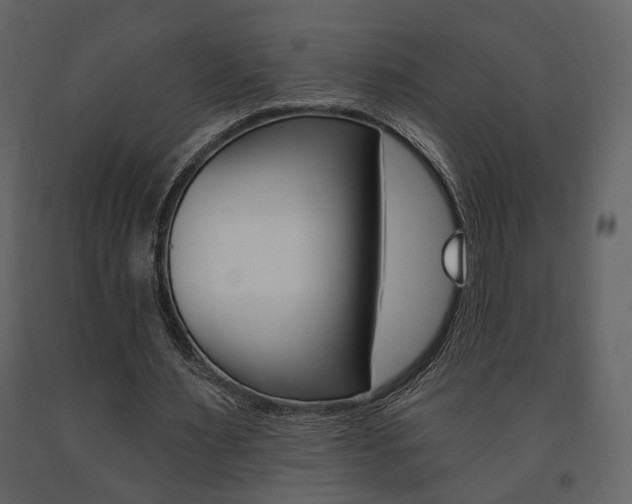 X0000091670483200708231017