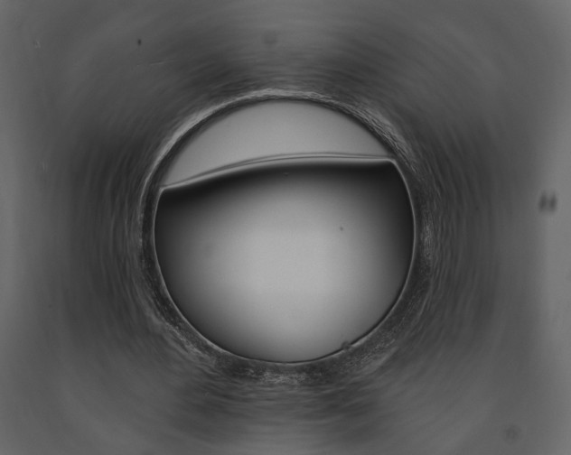 X0000091670484200708231017