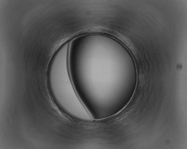 X0000091670485200708231017
