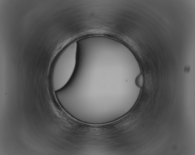 X0000091670486200708231017