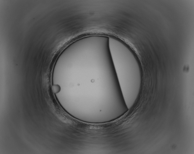 X0000091670487200708231017