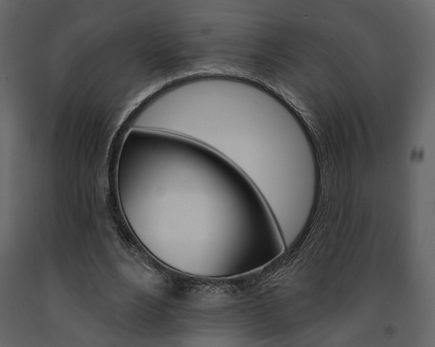 X0000091670488200708231017